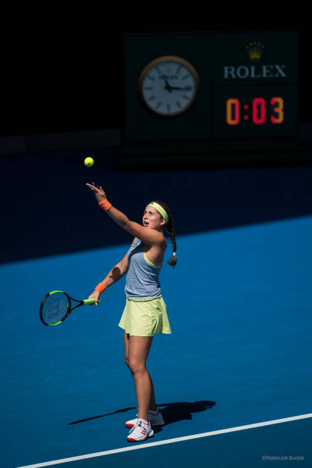 场的高光表 场的高光表