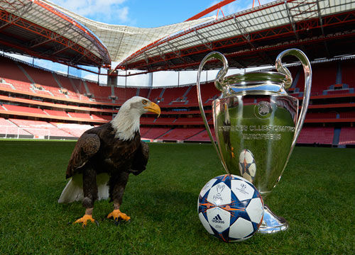 港城德比 港城德比